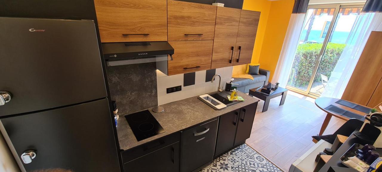 Studio De La Plage - Mer, Terrasse Et Garage Cagnes-sur-Mer Ngoại thất bức ảnh