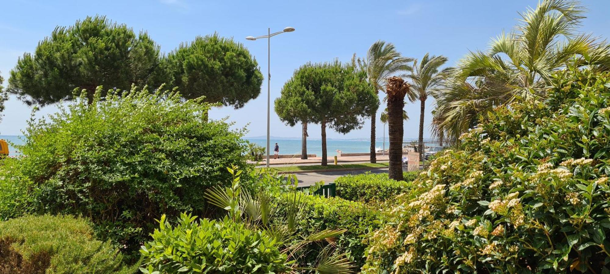 Studio De La Plage - Mer, Terrasse Et Garage Cagnes-sur-Mer Ngoại thất bức ảnh